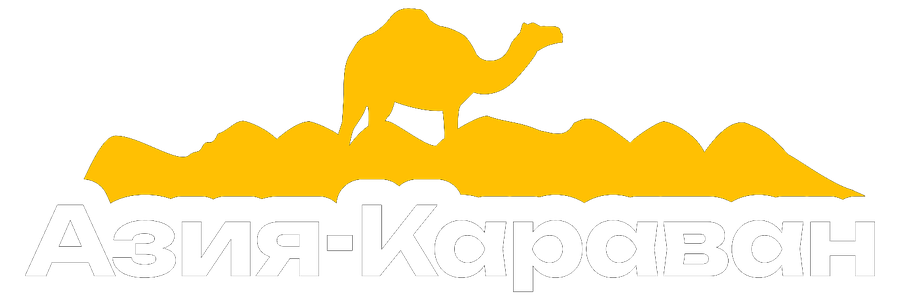 Азия Караван — доставка грузов из Китая